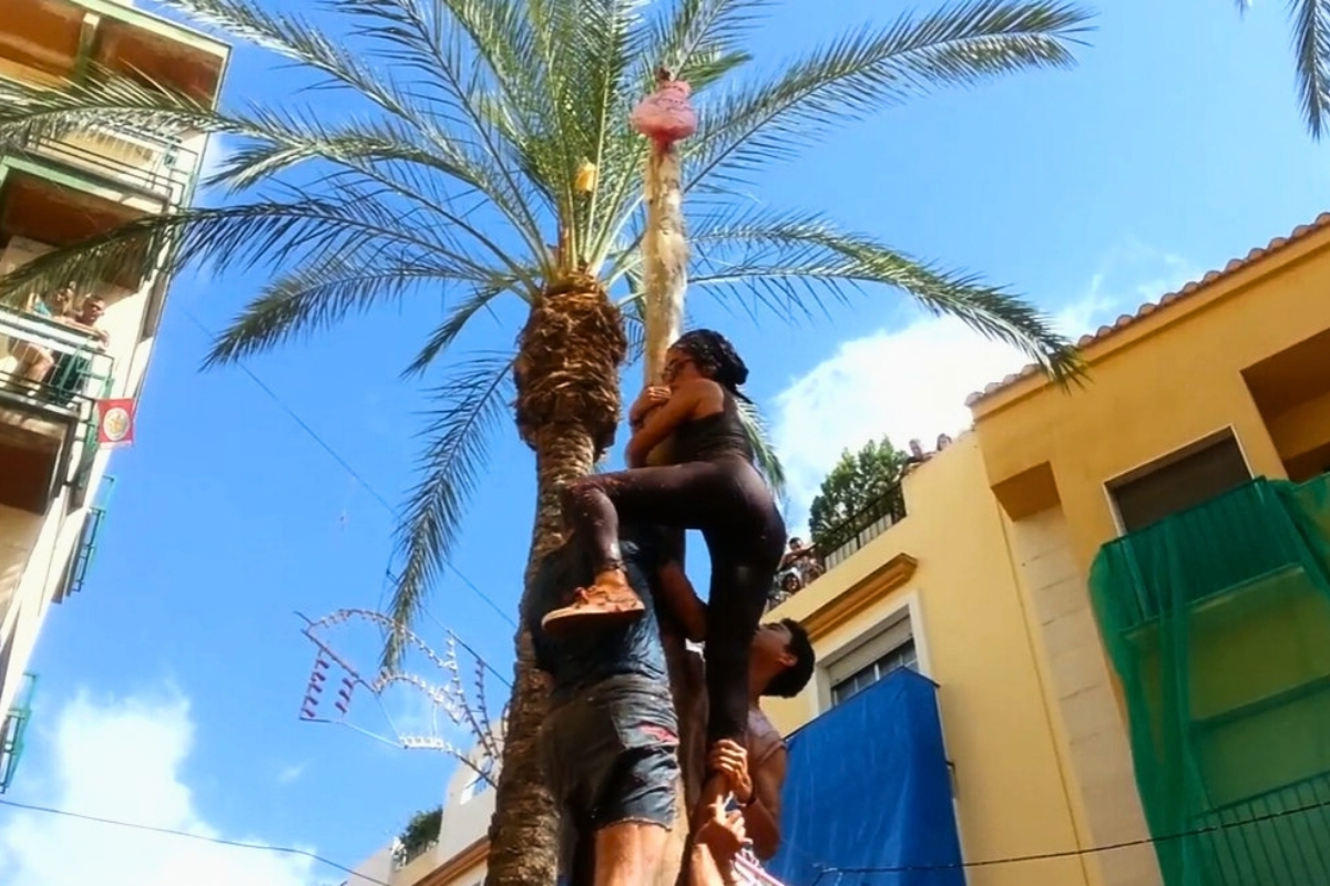 Climbing the La Tomatina Ham Pole featuring tomato fight combatants trying to get to the top of the ham pole